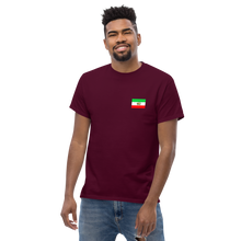 Load image into Gallery viewer, Men&#39;s classic tee
